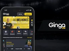 Gingabet app: como baixar e fazer apostas