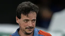 Fernando Diniz, técnico de futebol