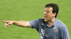 Fernando Diniz no comando do Santos em 2021, Foto: Fernanda Luz/AGIF