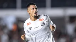 Cruzeiro emprestou Zé Ivaldo ao Santos - Foto: Abner Dourado/AGIF.