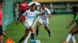 Grêmio no Brasileirão. Foto: Caroline Motta/Grêmio