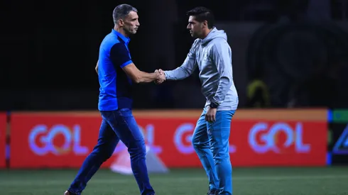 Abel e Vojvoda se enfrentam pela 11ª vez. Foto: Ettore Chiereguini/AGIF