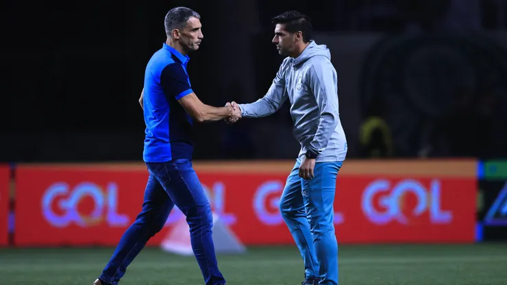 Abel e Vojvoda se enfrentam pela 11ª vez. Foto: Ettore Chiereguini/AGIF