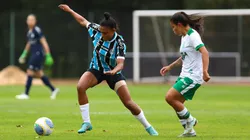 América-MG x Grêmio. Foto: Rodrigo Fatturi/Grêmio FBPA