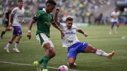 Palmeiras e Fortaleza se enfrentam neste domingo (20), às 18h30, na Arena Castelão.