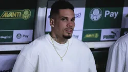 Paulinho acompanhando equipe do Palmeiras - Foto: Ettore Chiereguini/AGIF