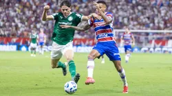 Torcida do Palmeiras critica arbitragem