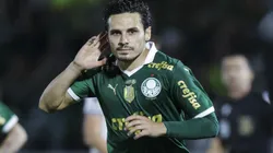 Os melhores jogadores da década do Palmeiras.