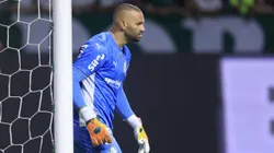 Weverton, goleiro do Palmeiras volta ser o xodó na torcida alviverde que está otimista com a vitória na Libertadores contra o Bolívar