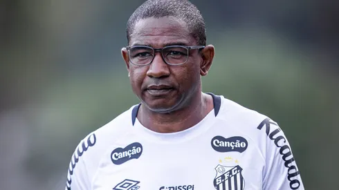 Cesar Sampaio, interino do Santos - Foto: Flickr oficial do SFC/Raul Baretta