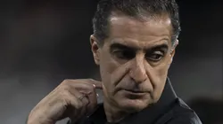 Renato Paiva analisou momento do Bota