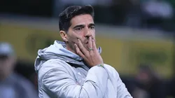 Abel Ferreira foi punido pelo TJD-SP