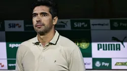 Abel Ferreira no comando do Palmeiras. Foto: Fabio Giannelli/AGIF