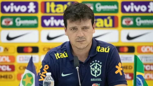 Diniz também passou pela Seleção Brasileira