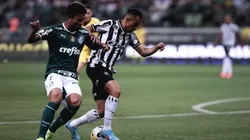 Ceará x Palmeiras se enfrentam pela 3ª fase da Copa do Brasil. Foto: Ettore Chiereguini/AGIF