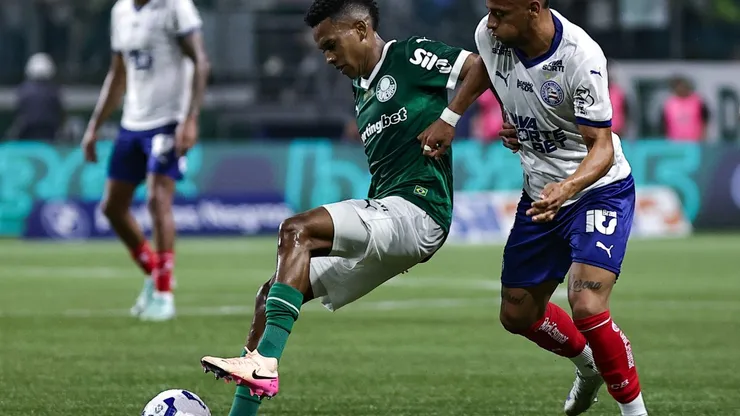Palmeiras x Bahia. Foto: Fabio Giannelli/AGIF