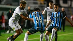 Grêmio e Santos se encaram pelo Brasileirão Betano Foto: Luiz Erbes/AGIF