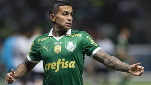 Atacante tem história no Palmeiras