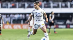 Soltedo, atacante do Santos deve brilhar contra o Grêmio neste domingo e renova esperança da torcida santista