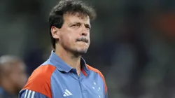 MG - BELO HORIZONTE - 27/11/2024 - BRASILEIRO A 2024, CRUZEIRO X GREMIO - Fernando Diniz tecnico do Cruzeiro durante partida contra o Gremio no estadio Mineirao pelo campeonato Brasileiro A 2024. Foto: Gilson Lobo/AGIF