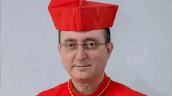 Cardeal Dom Sérgio da Rocha participa do conclave, é favorito de jornal francês e torce pelo Palmeiras — Foto: Divulgação/Arqudiocese de Salvador
