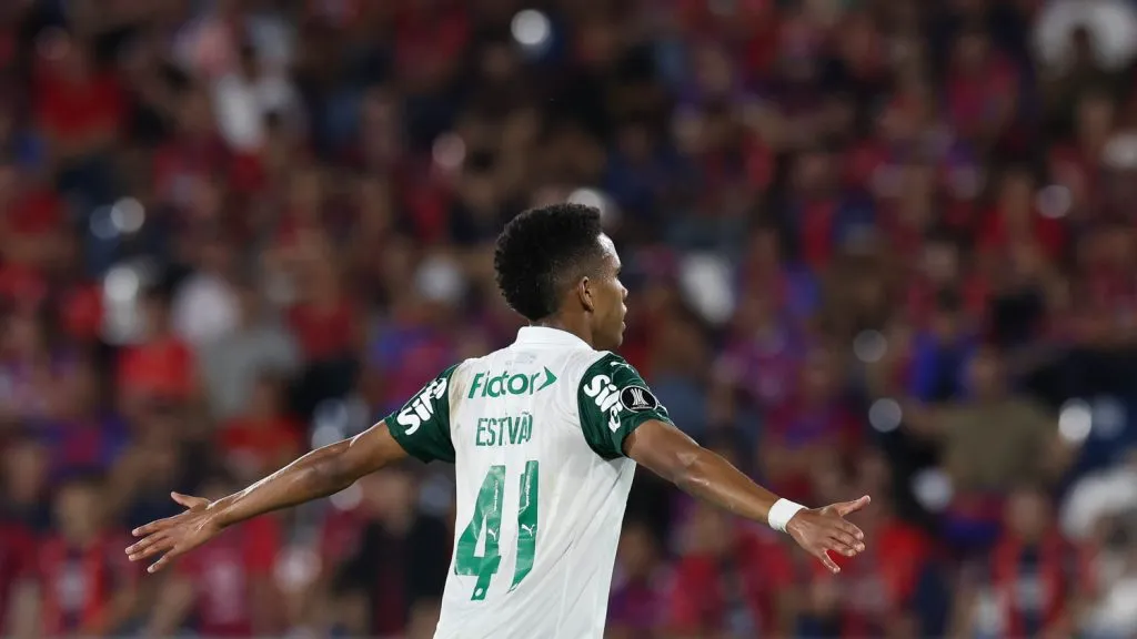 Estêvão comemorando gol pelo Palmeiras. (Foto: Cesar Greco/Palmeiras/by Canon)