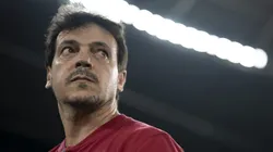 Fernando Diniz, técnico de futebol