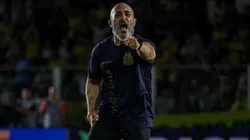 Rafael Guanaes, técnico do Mirassol foi exaltado pela torcida nas redes sociais após nova vitória no Brasileirão