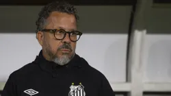 Cléber Xavier, acompanha equipe do Santos - Foto: Anderson Romao/AGIF