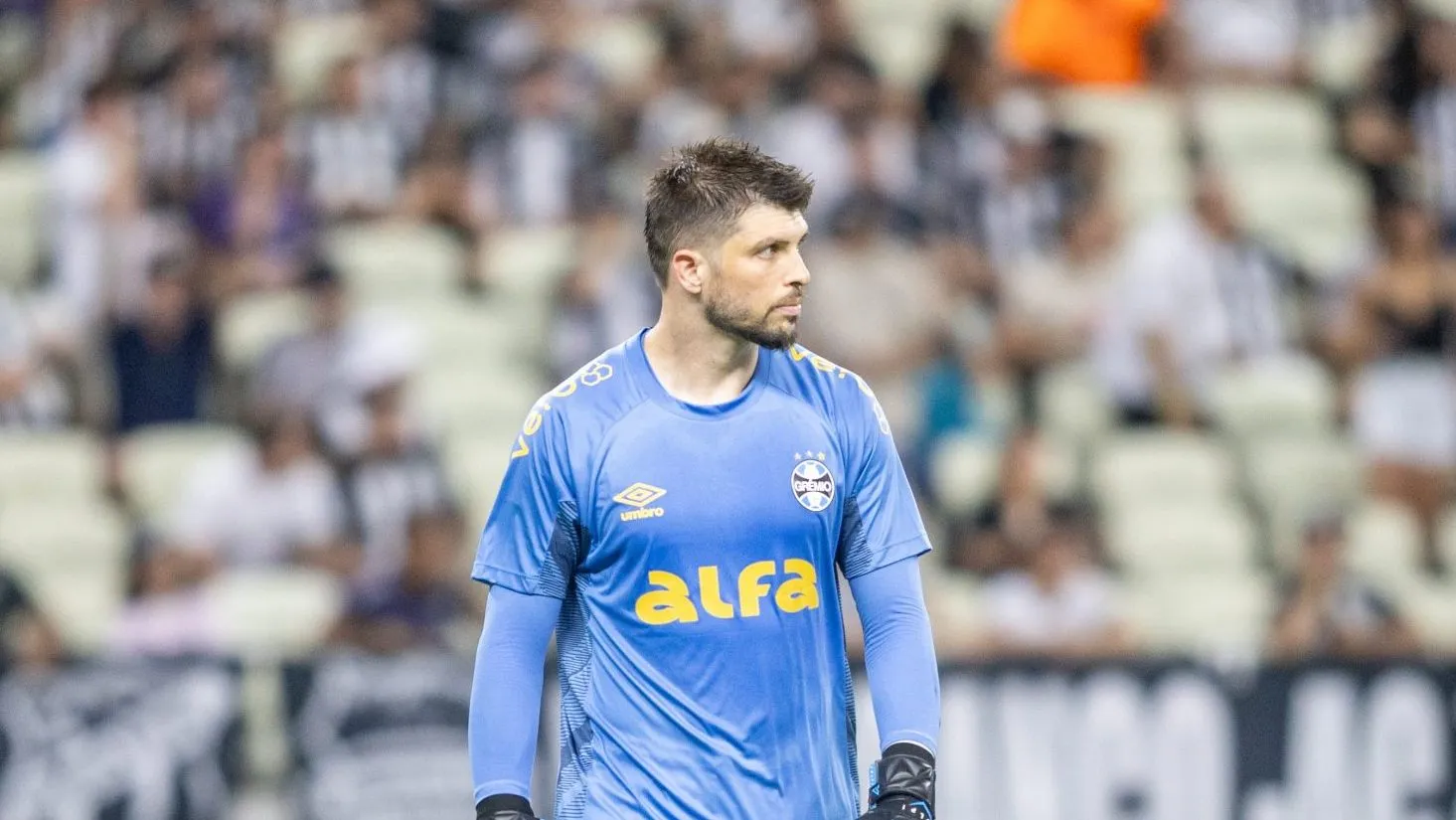 Volpi foi um dos reforços para 2025