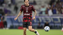 Pedro voltou em menos de um ano da lesão no joelho. Foto: Gilson Lobo/AGIF