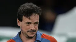 Fernando Diniz, técnico do Vasco