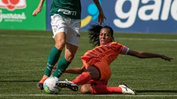 Internacional x Palmeiras. Foto: Rebeca Reis/AGIF
