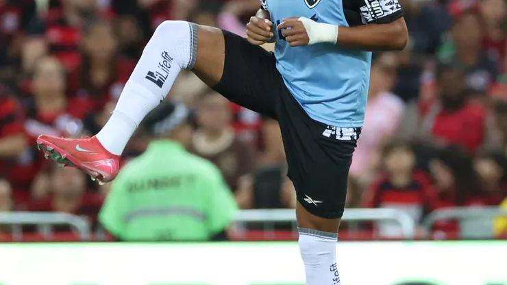 Foto: Vitor Silva/ Botafogo FR