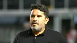 Barroca durante a partida de ida na Vila Belmiro.