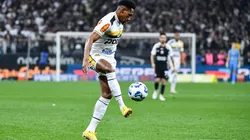 Novorizontino x Paysandu pela Série B