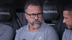 Cléber Xavier acompanhando a equipe do Santos - Foto: Ettore Chiereguini/AGIF