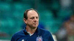 Treinador do Bahia comentou sobre o polêmico lance