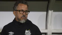 Cleber Xavier técnico do Santos - Foto: Anderson Romao/AGIF