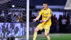 Gabriel Brazao goleiro do Santos comemora vitoria ao final da partida contra o America-MG no estadio Vila Belmiro pelo campeonato Brasileiro B 2024. Foto: Marcello Zambrana/AGIF