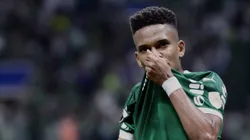 SP - SAO PAULO - 28/05/2025 - COPA LIBERTADORES 2025, PALMEIRAS X SPORTING CRISTAL - Estevao jogador do Palmeiras comemora seu gol durante partida contra o Sporting Cristal no estadio Arena Allianz Parque pelo campeonato Copa Libertadores 2025. Foto: Marcello Zambrana/AGIF