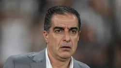Renato Paiva, técnico do Botafogo