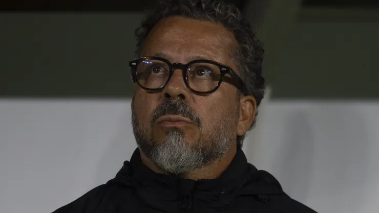 Cleber Xavier, técnico do Santos, durante partida contra o Ceara no estadio Arena Allianz Parque pelo campeonato Brasileiro A 2025. Foto: Anderson Romao/AGIF