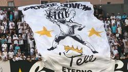 Mesmo com derrota, Santos tem seu maior lucro no Brasileirão Betano