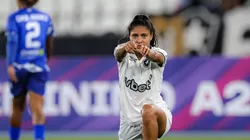 Botafogo está classificado para as quartas de final - Foto: Arthur Barreto/Botafogo