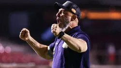 Rafael Guanaes e o Mirassol são destaques no Brasileirão Betano