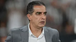 Renato Paiva falou sobre Botafogo x Palmeiras.
