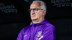 Treinador chegou após passagem pela Seleção Brasileira