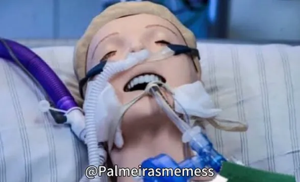 Torcida do Palmeiras produziu memes após o jogo. Foto: Reprodução/Instagram.