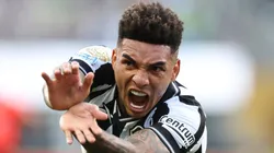 Igor Jesus, atacante do Glorioso. Foto: Vítor Silva/Botafogo.